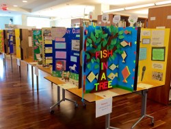 Annual Storyboard Competition Inspires Readers