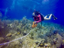 CCMI Launches Healthy Reef Campaign with First Reef Lecture of 2019