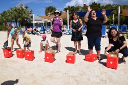 Turtle Centre invites guests to participate in pigeon release