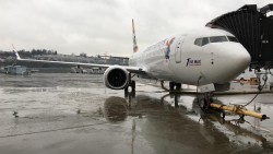 CAL suspends Max 8 operations