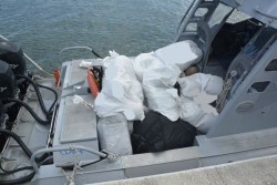 Over 900 lbs. of Ganja Recovered