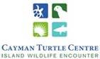 Cayman Turtle Centre to Celebrate World Sea Turtle Day with releasing Turtles into the Sea