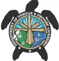 DVDL Clarifies Visitor Driving Permits Situation