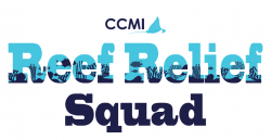 CCMI's Reef Relief Squad now recruiting for the Intertrust Cayman Islands Marathon