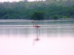 National Trust and CUC Partner for Conservation