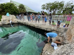 Cayman Turtle Centre’s Camp Shellby returns for mid-term break