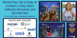 Final CCMI Reef Lecture of 2020 looks at the future of Cayman's coral reefs