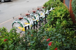 Civil Servant Bike Share