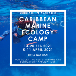 CCMI offers need-based scholarships to upcoming Caribbean Marine Ecology Camp sessions in Little Cayman