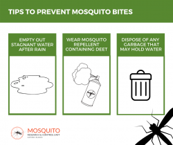 MRCU Offers Tips for Mosquito Relief in the Coming Days