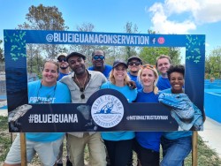 First Ever Blue Iguana Day
