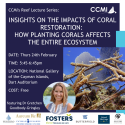 CCMI Reef Lecture to share latest findings from coral restoration research
