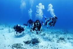 CCMI marks 10 years of the Young Environmentalist Leadership Course for Caymanian students