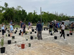 MSCR hosts native seed and plant giveaway