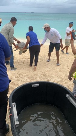 Tourism Minister Celebrates World Sea Turtle Day