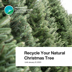 Recycle Your Natural Christmas Tree