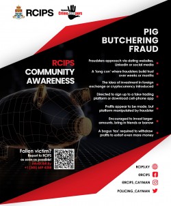 RCIPS Warns Against Sophisticated Global Investment/Romance Scam Utilising Virtual Currency