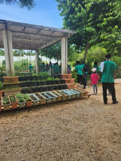 Sustainability Takes Centre Stage at Department of Children and Family Services’ International Youth Day Event in Cayman Brac