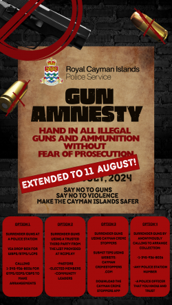 2024 National Gun Amnesty Update & Extension of Amnesty End Date