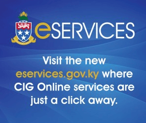 Govt E Services (r)