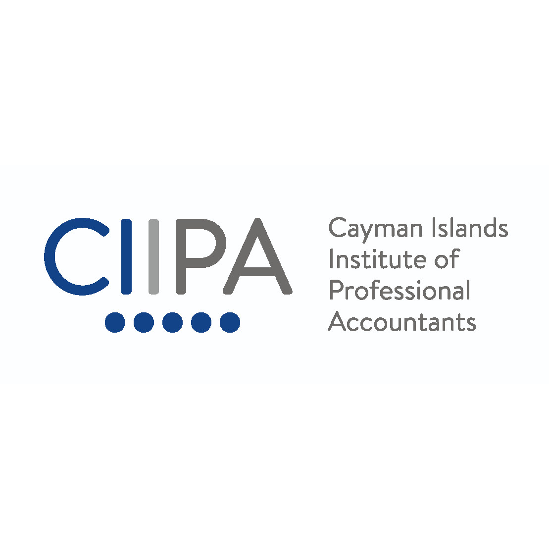 CIIPA CEO participates in IFAC Global Advisory Group Meeting in New York