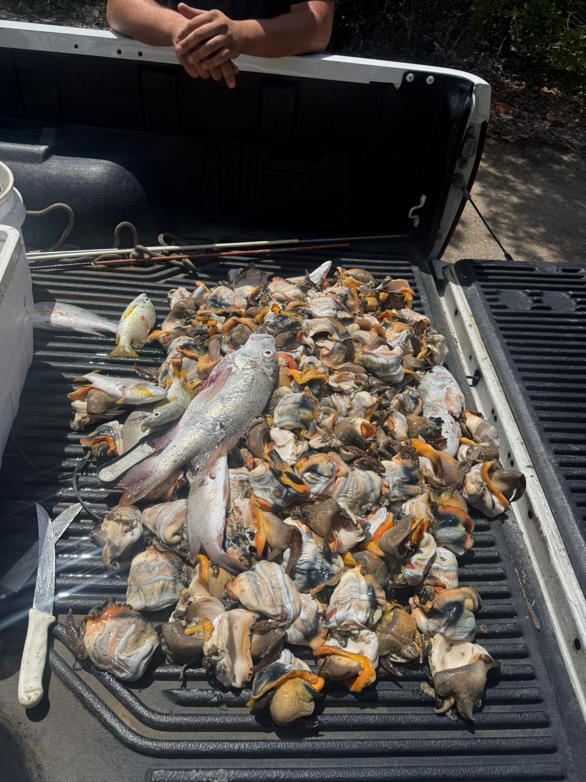 Men Arrested for Poaching Following Joint Response by CICG, RCIPS and DOE