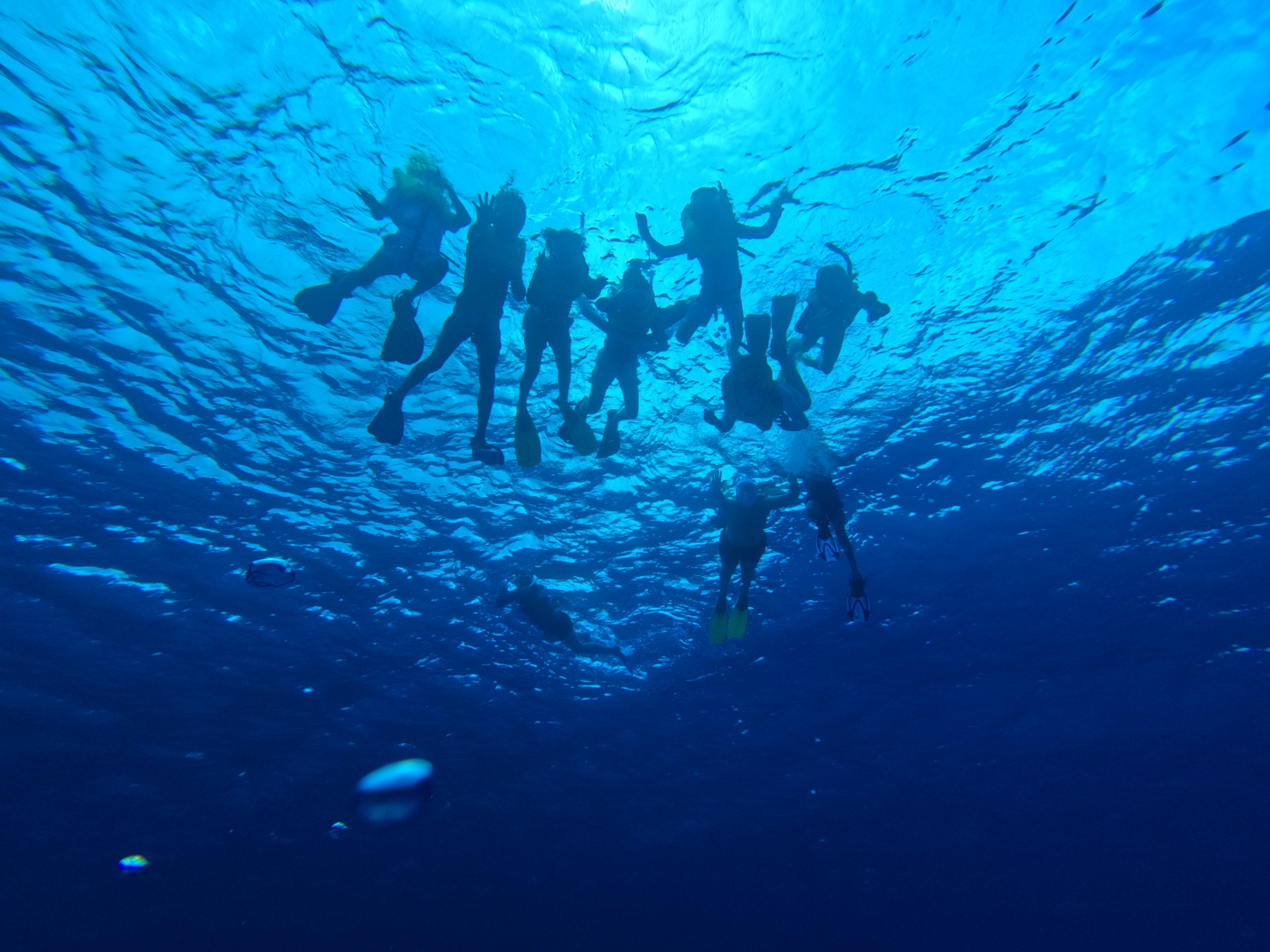 CCMI Invites the community to celebrate World Ocean Month