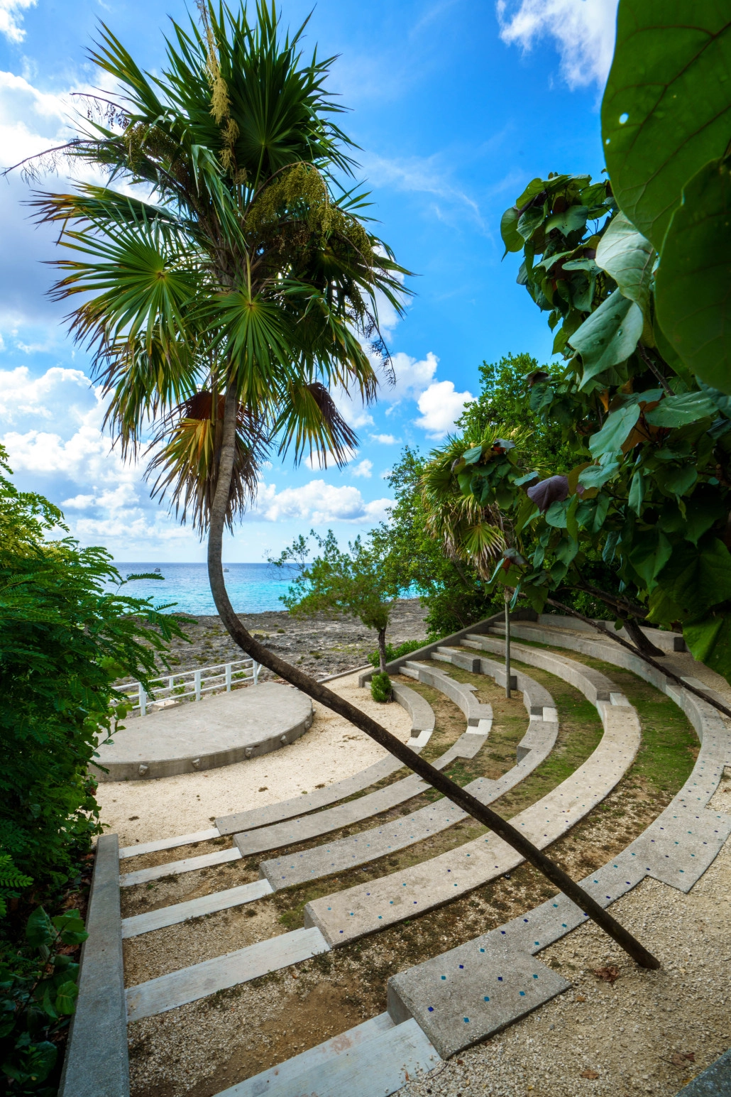 Dart’s Growing Communities presents free, family-friendly fun on Tuesdays, Thursdays and Saturdays in July and August in the Dart Park amphitheatre!