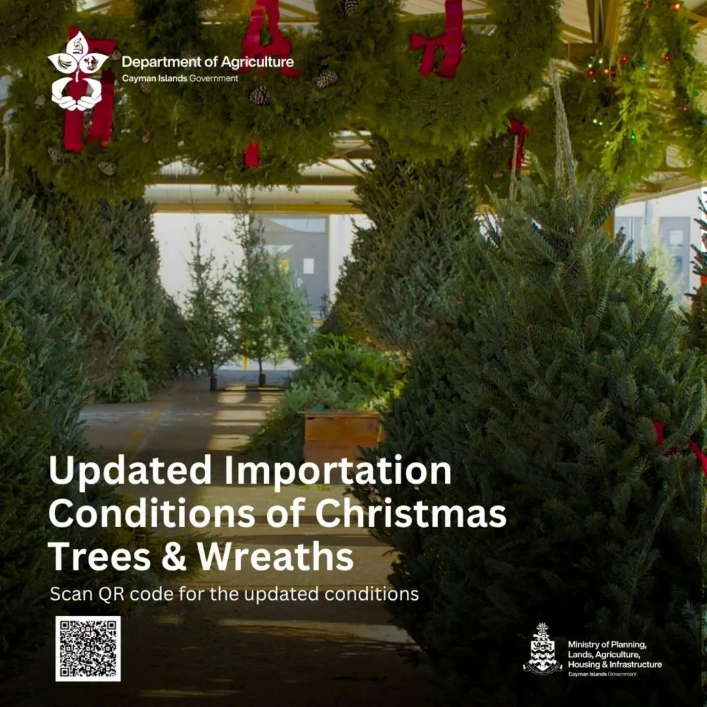 Important Advisory - Christmas Trees and Wreaths