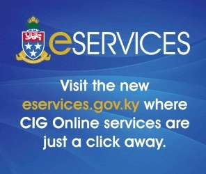 Govt E Services (r)