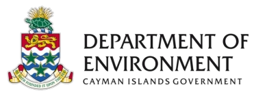 DoE announces special recruitment, training for Green Iguana cullers