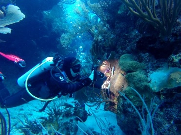 CCMI's Reef Lecture Series to Feature Visiting Researcher