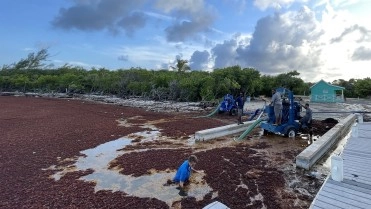 Government Sargassum removal trial concludes
