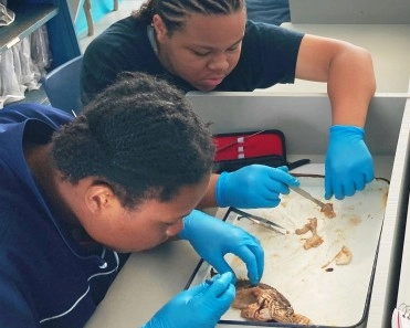 Scholarships for all-expenses-paid week-long camp at the Little Cayman Research Centre now accepted