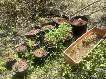 RCIPS Officers Conduct Day of Action in Cayman Brac