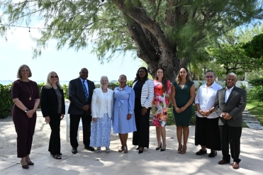 Domestic Observers Submit Final Election Report