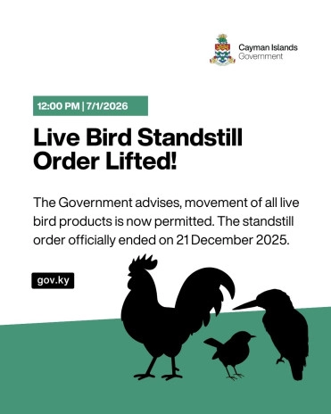 Standstill Order Lifted: Movement of Live Bird Products Now Permitted