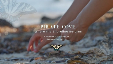 Sustainable Cayman Launches “We Are Sustainable Cayman” Campaign – Bringing Local Stories of Stewardship and Shoreline Resilience to Life