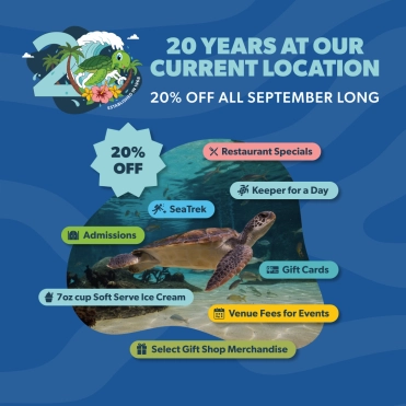 Cayman Turtle Centre Celebrates 20 Years at Current Home and a Legacy That Began in 1968