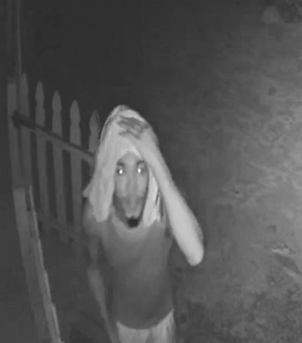 Police Seek Public Assistance to Identify Burglars