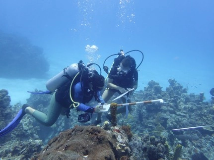 R3 Cayman Foundation Closes Out 2020 with Over CI$1.3M Distributed in Grants