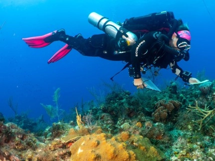 CCMI Leads New 5-Year Collaboration on Deep Sea Mount Exploration of 12-Mile Bank and Pickle Bank