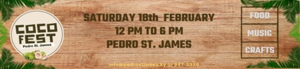 Pedro St. James Set to Host Coconut Festival