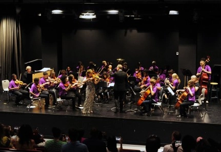 Steel Pan Comes to Cayman Arts Festival