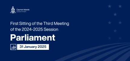 In Parliament – Summary for 31 January