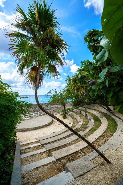 Free family fun in Dart Park all summer long