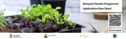 Backyard Garden Pilot Launced