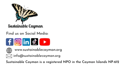 Sustainable Cayman Supports NCC and EAB Call for Route B2 for East-West Arterial (EWA)