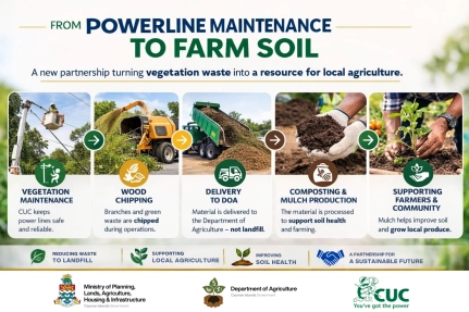 Department of Agriculture and CUC Partner to Repurpose Vegetation Material for Agricultural Use