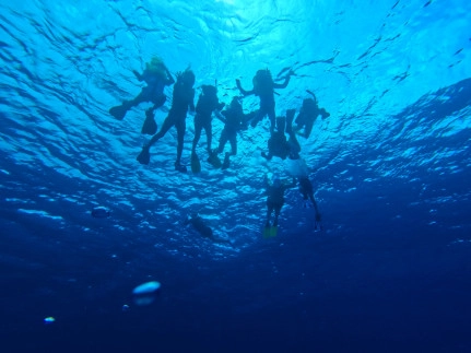 CCMI Invites the community to celebrate World Ocean Month